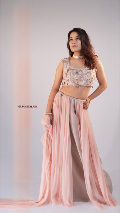 Cinderella Lehenga Skirt with Appliqué Blouse